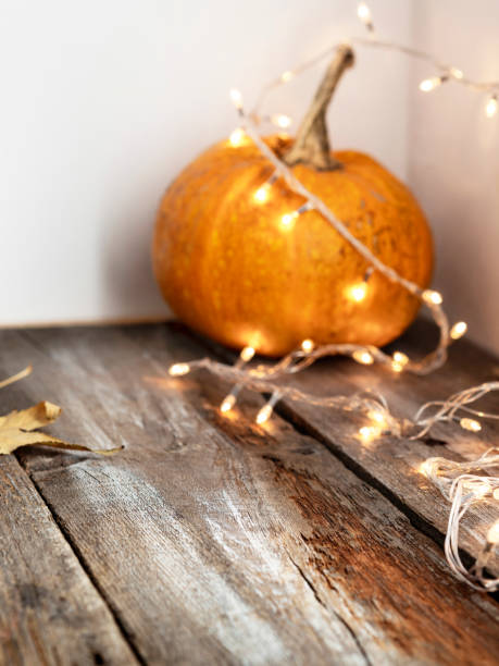 disposizione della zucca delle vacanze autunnali su un vecchio sfondo di legno - gourd halloween fall holidays and celebrations foto e immagini stock