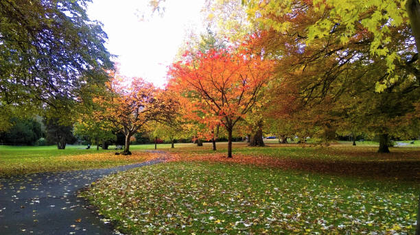 istock AUTUMN IN HENRIETTA PARK 1066655354