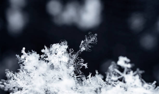 istock crystals of snow, ice 1066655868