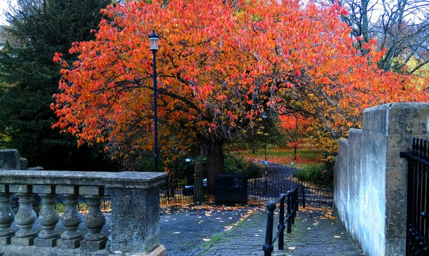 istock OFF GREAT PULTENEY STREET 1066660862