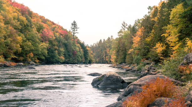 istock Hudson River in the Adirondacks, NY, Fall Foliage 1066663246