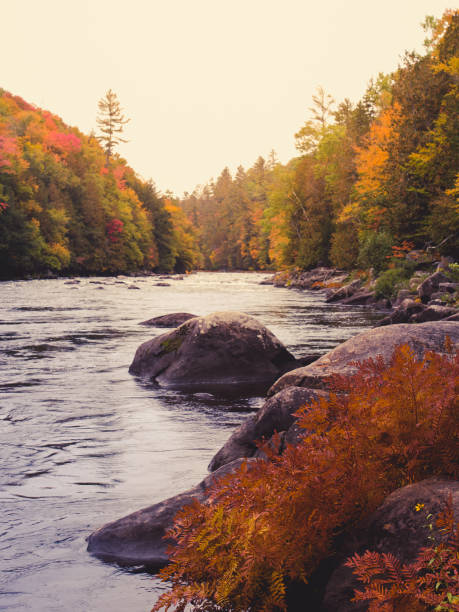 istock Hudson River in the Adirondacks, NY, Fall Foliage 1066663260