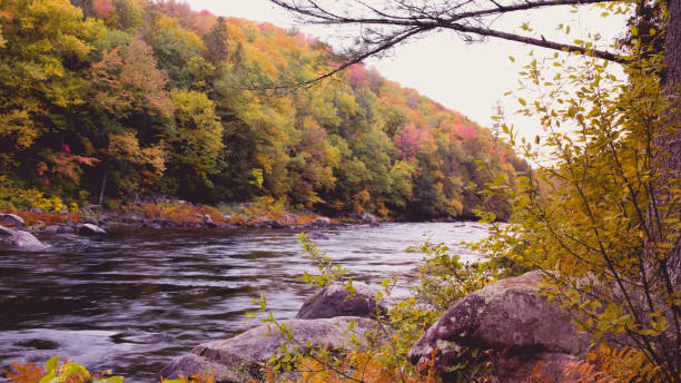 istock Hudson River in the Adirondacks, NY, Fall Foliage 1066663312