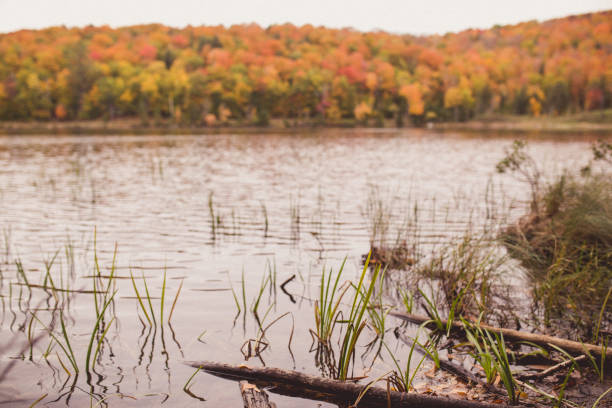 istock Adirondack Mountain Lake Shore, NY, Fall Foliage 1066664512
