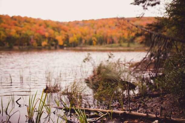 istock Adirondack Mountain Lake, NY, Fall Foliage 1066664548