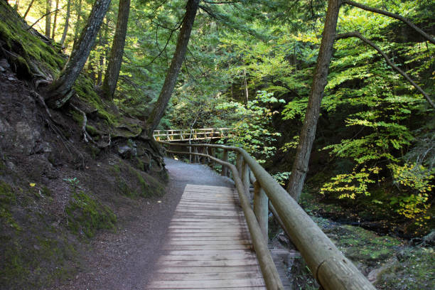 istock Scenery In Victoria Park, Nova Scotia, Canada 1066664668