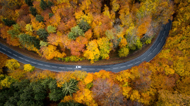istock Road through autumnal forest - aerial view 1066664864