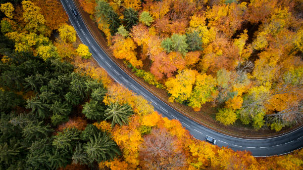 istock Road through autumnal forest - aerial view 1066664912