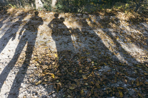 istock Fall Season, shadow of hikers 1066667396
