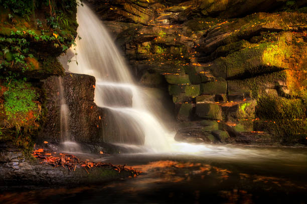 istock The falls at Neath Abbey 1066667438