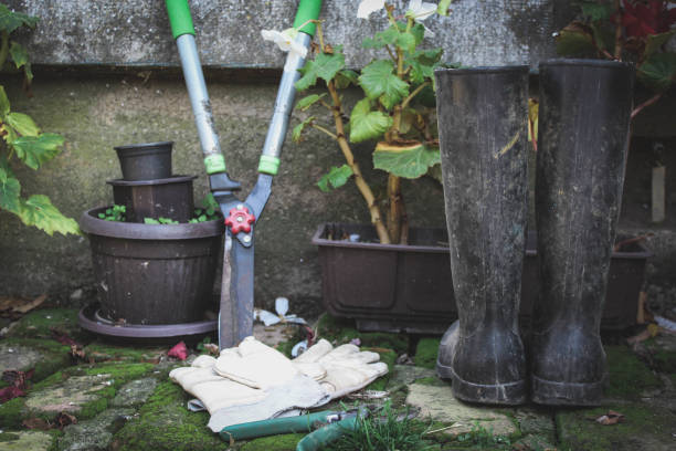istock Accessories and equipment for gardening 1066669412