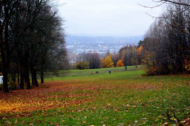 istock Cityscape of Oslo, Norway 1066669574