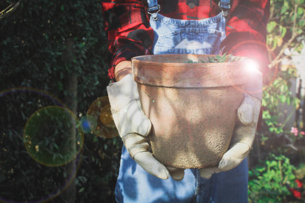 istock Gardener with pots in his hands is planned arrangement 1066670562