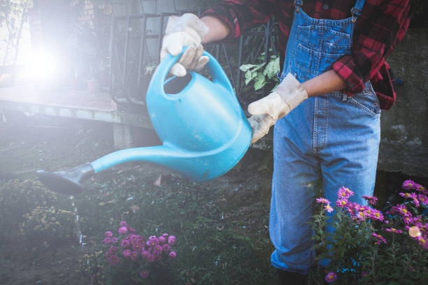 istock Watering flowers. Gardening 1066672176