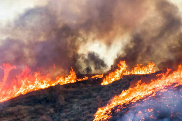 Close Up Burning Ridge with Bright Flames and Smoke during California Woolsey Fire stock photo