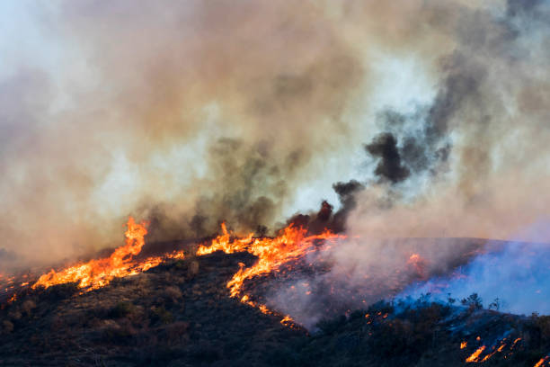 Fire with Orange Flames and Smoke on Hillside in California Woolsey Brushfire stock photo