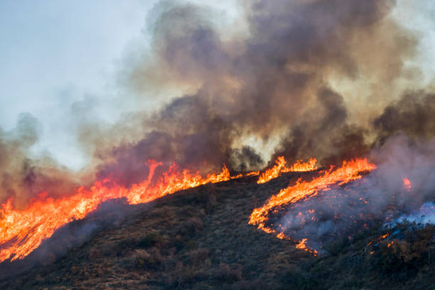 ladera en el fuego con las brillantes llamas y humo negro durante el incendio de california woolsey - wildfire smoke fotografías e imágenes de stock