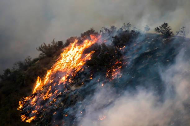 istock Brush and Trees on Fire during California Woolsey Wildfire 1066673158