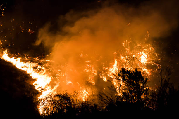 istock Close Up Flames at Night during California Woolsey Fire 1066673210