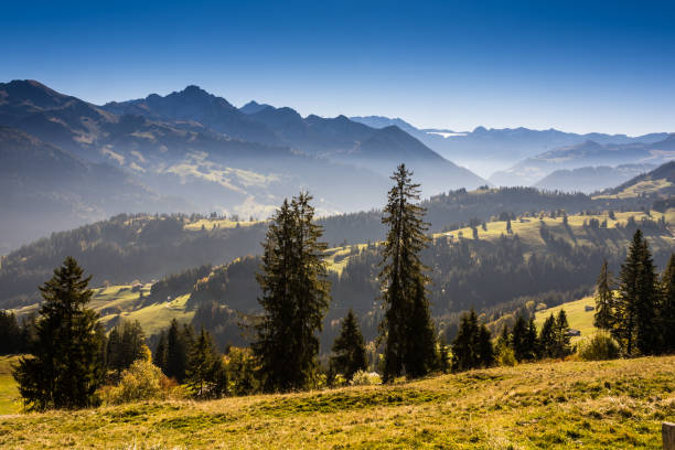 istock panoramic view Jaun pass in Simmental, Alps, Switzerland 1066674756