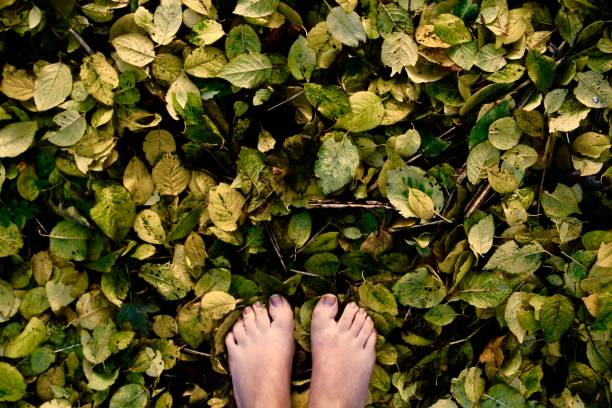 istock Feet and green autumn leaves 1066674764