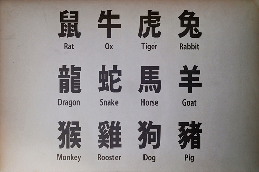 Close-up on Chinese zodiac signs printed on paper.