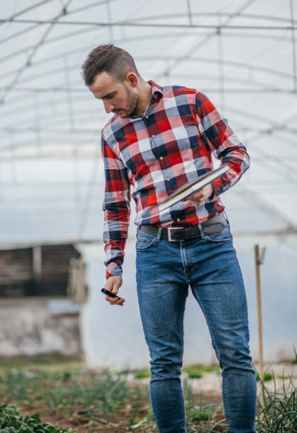 istock Agronomist in greenhouse 1066689218