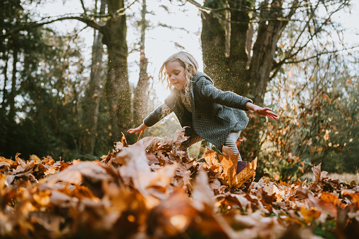 A cute little girl plays in a forest park, picking up handfuls of maple leaves to throw . into the air.  Horizontal with copy space.  A beautiful sunny autumn day in Washington, United States.