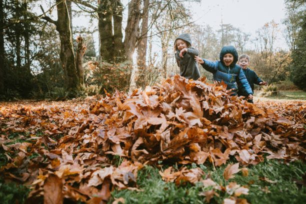 Children Playing In Autumn Leaves