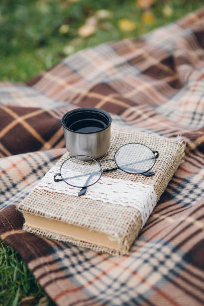 istock Book, glasses and hot tea from a thermos lie on a blanket 1066701022