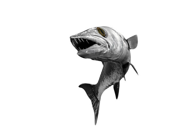istock Barracude fish isolated curved tail in air 3d render 1066703798