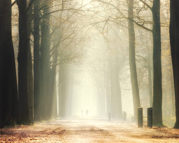 istock The morning walkers 1066705292