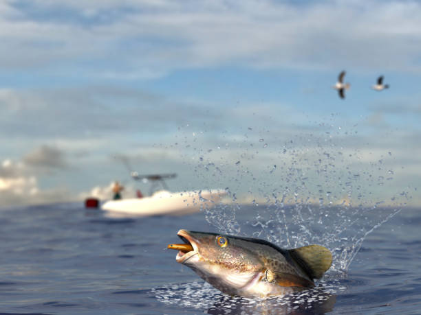 istock Cod fish catched with lure bait in mouth on the sea ocean surface  shore fishing 3d render 1066711630