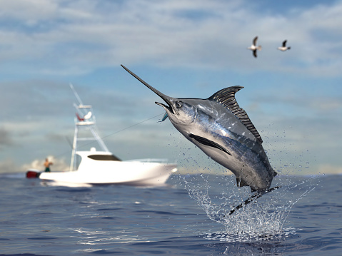 Big game fishing time, big swordfish marlin  jumped hooked by sport fishing angler, fishing boat 3d render