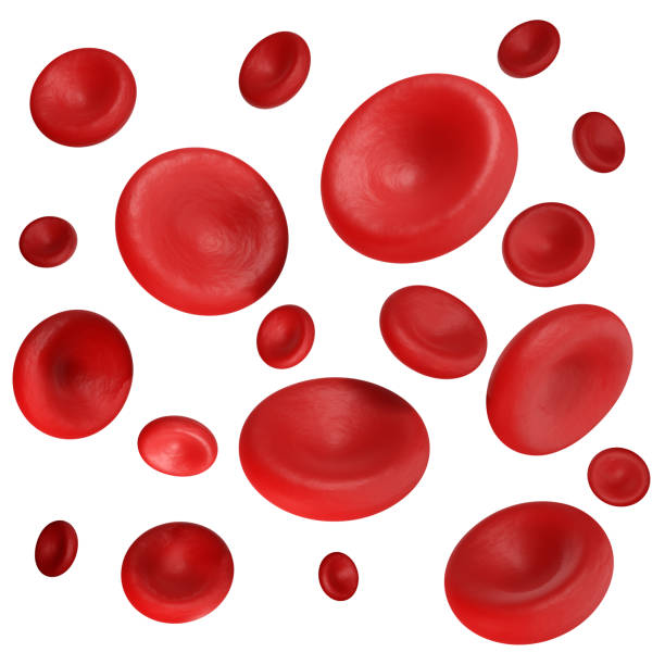 istock 3d render red blood cells isolated on white background with Clipping Path 1066713886