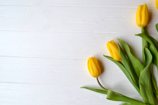 istock Yellow tulips on a wooden background. 1066713910