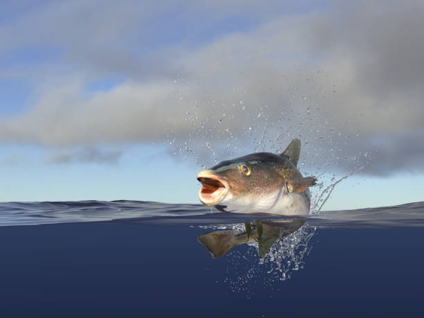 istock Cod fish in sea halfwater view of this beauty 3d render 1066714200