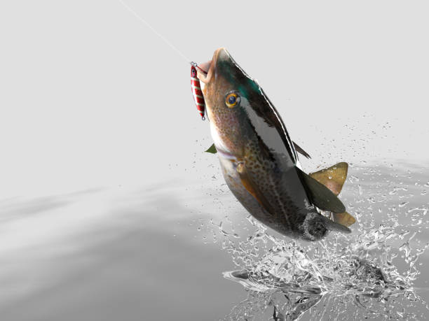 istock Cathing of cod fish in white background with splashes hooked by slow jigging inchiku bait 3d render 1066714242