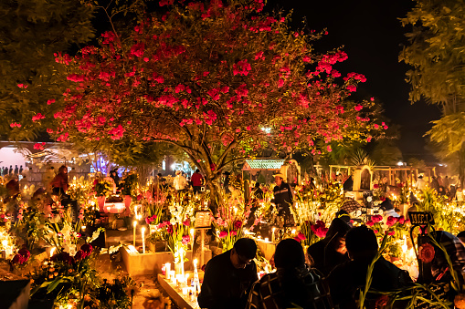 Cemetery in San Agustin Etla, Oaxaca, Mexico– November 1, 2018: People holding vigils at the graves of relatives as part of the celebration of the Día de los Muertos. Graves are cleaned, decorated with flowers (typically featuring marigolds), skulls, candles, and often with the deceased's favorite food and liquor. This annual holiday is celebrated extensively in southern Mexico with face painting, costumes, parades, dancing, altars, and graveside vigils. Celebration of the Día de los Muertos has been adopted in many other parts of the world.