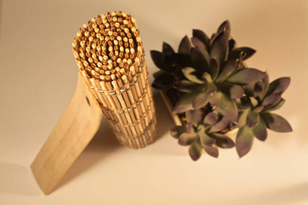 istock Cactus plant, incense and sticks 1066719686