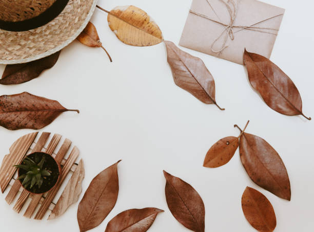 Autumn flat lay with hat, envelope, dry leaves and on white background