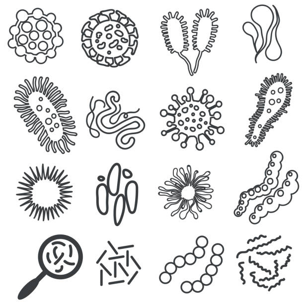 mikroskopisch kleine viren geradliniges design, verschiedene formen. bakterien-infektion einstellen. vektor - animal cell illustrations stock-grafiken, -clipart, -cartoons und -symbole