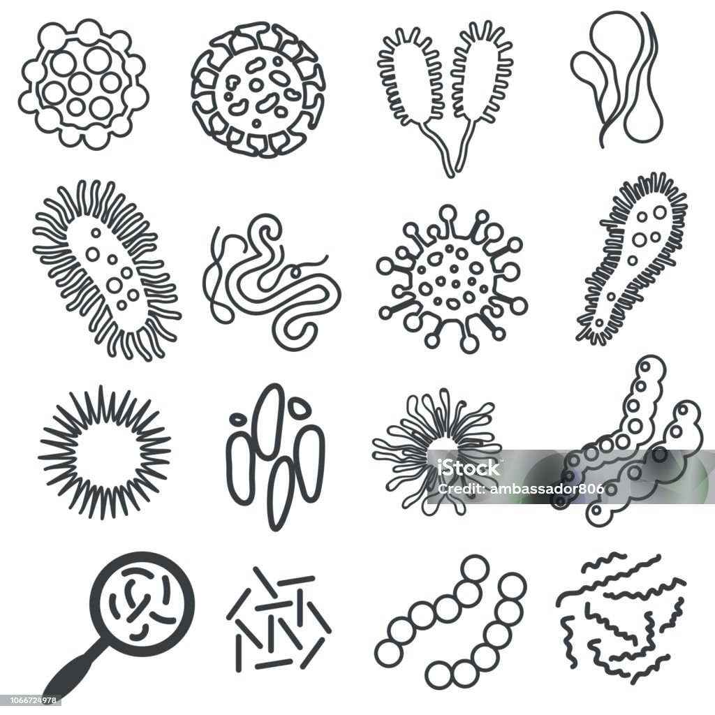 Virus microscopici design lineare, varie forme. Set di infezioni batteriche. Vettore - arte vettoriale royalty-free di Batterio