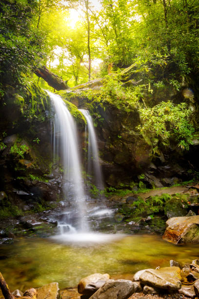 grota falls w parku narodowym smoky mountain - tennessee waterfall stream forest zdjęcia i obrazy z banku zdjęć