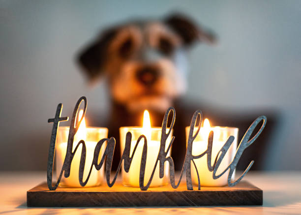 Thankful Gratitude Candles With Dog in Background stock photo