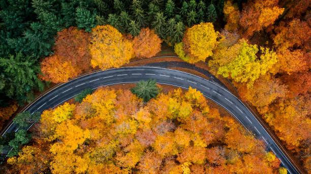 istock Road through autumnal forest - aerial view 1066732530