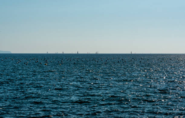 Buoys and yachts in the bay of Naples Italy