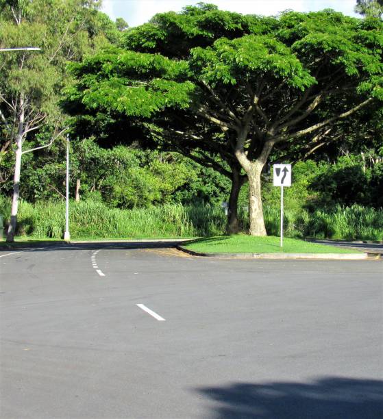 istock Surfaces where those words can be inserted on such as: Road and freeway signs, overpasses, streets, lake, park benches, picnic tables and a sign next to a baseball field. 1066734720