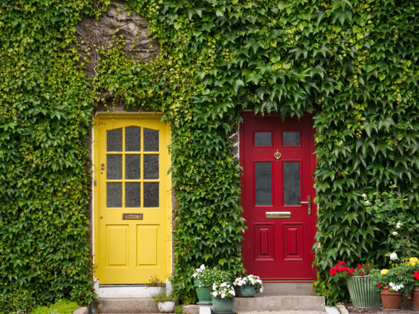 A house facade in Ireland with ivy and two doors painted in yellow and red