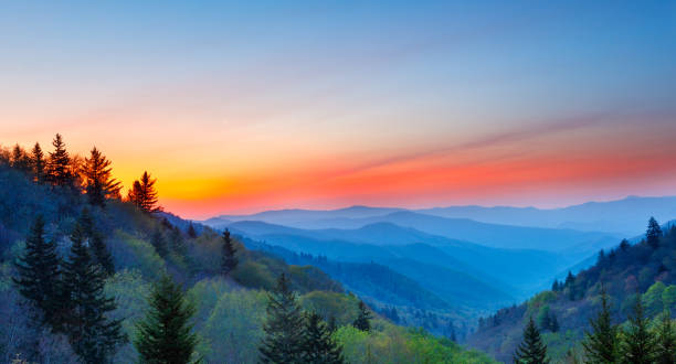 misty balanceo cordillera justo antes del amanecer en el parque nacional grandes montañas humeantes - mountain mountain range north carolina blue fotografías e imágenes de stock